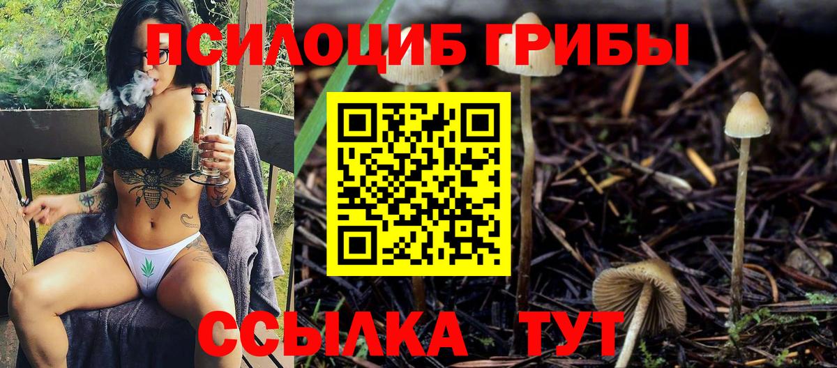 Галлюциногенные грибы Magic Shrooms  Вход с VPN  Кострома 