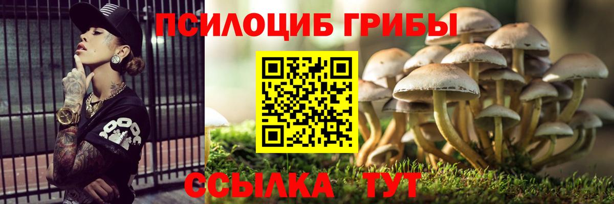 Галлюциногенные грибы прущие грибы Кострома